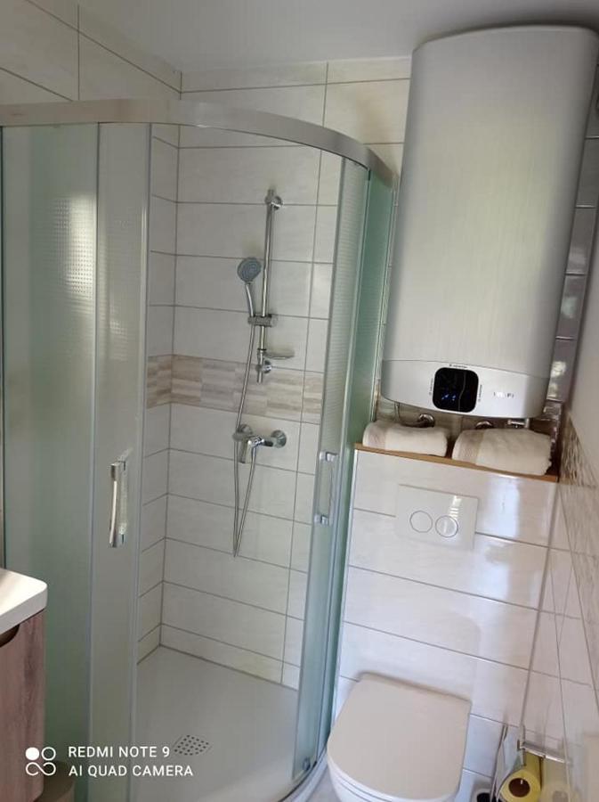 קרנייסקה גורה Apartma Aurora מראה חיצוני תמונה