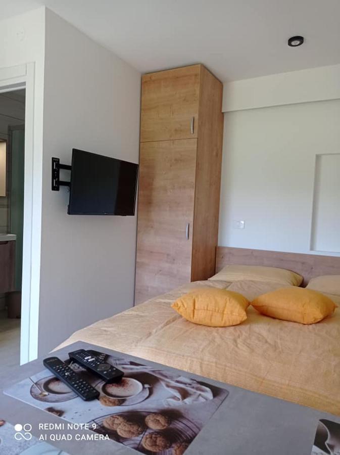 קרנייסקה גורה Apartma Aurora מראה חיצוני תמונה