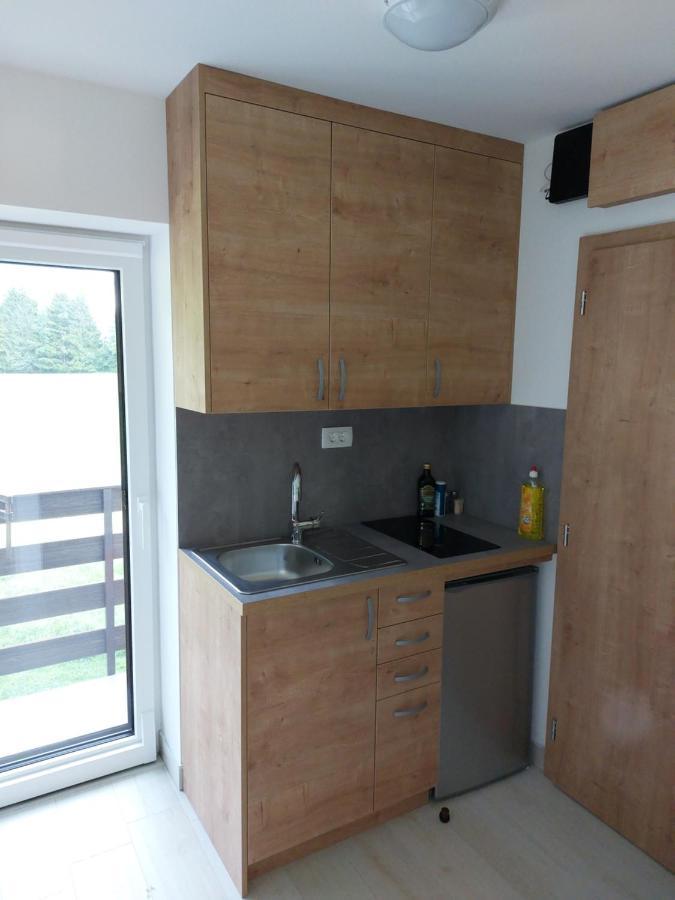 קרנייסקה גורה Apartma Aurora מראה חיצוני תמונה